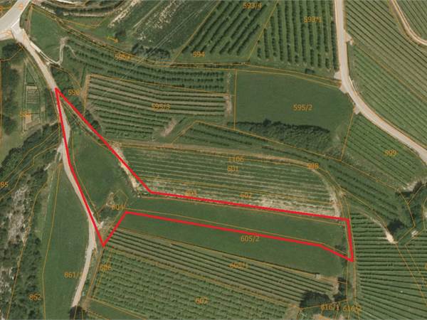 Covelo - Terreni a Prato Orto Arativo Vigneto