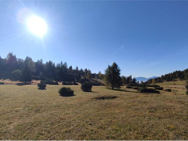 Monte Gazza - Terreno 13.000mq con Rudere da Ricostruire